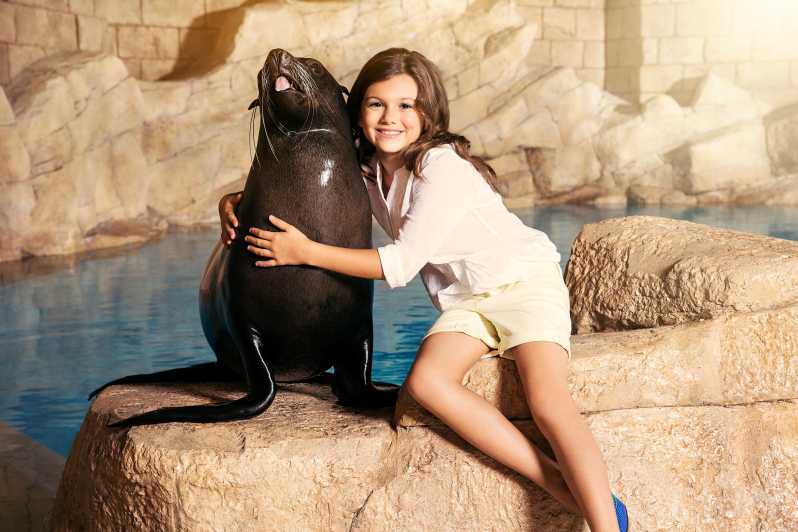 Dubai: Shallow Water Dolphin Encounter at Atlantis